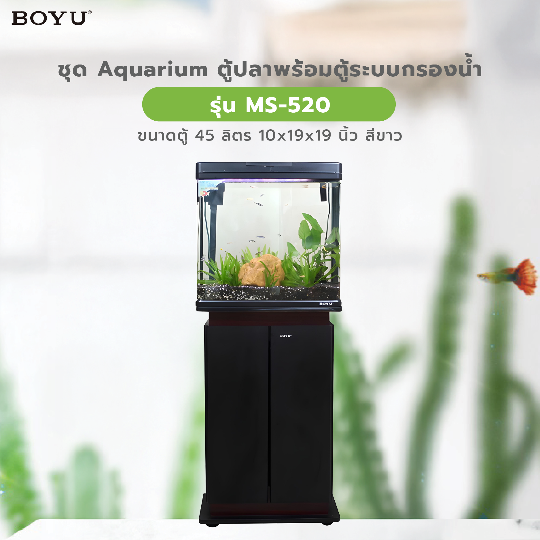 BOYU ชุดAquariumตู้ปลาพร้อมตู้ระบบกรองน้ำ รุ่นMS-520 ขนาดตู้45ลิตร ก10ย19ส19นิ้ว สีขาว