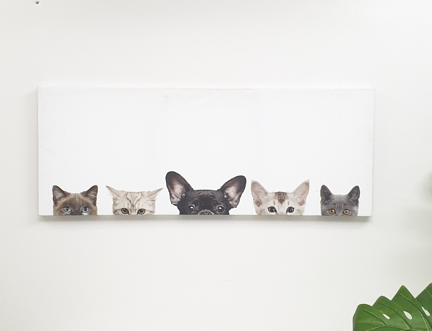 NICE รูปภาพพิมพ์ผ้าใบ Animals ขนาด 94x36ซม. (ก.xส.) (แมว) C9436-7