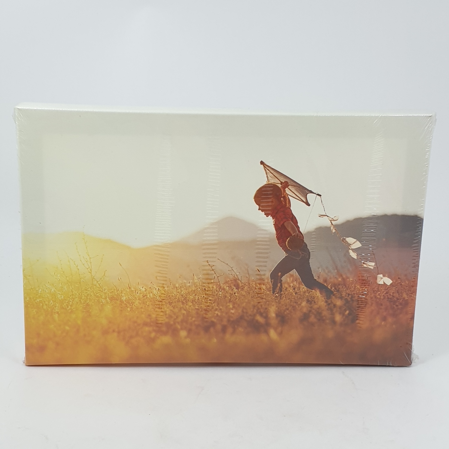 NICE รูปภาพพิมพ์ผ้าใบ Kid ขนาด 30x20ซม. (ก.xส.) (เด็กวิ่งเล่นว่าว) C3020-1