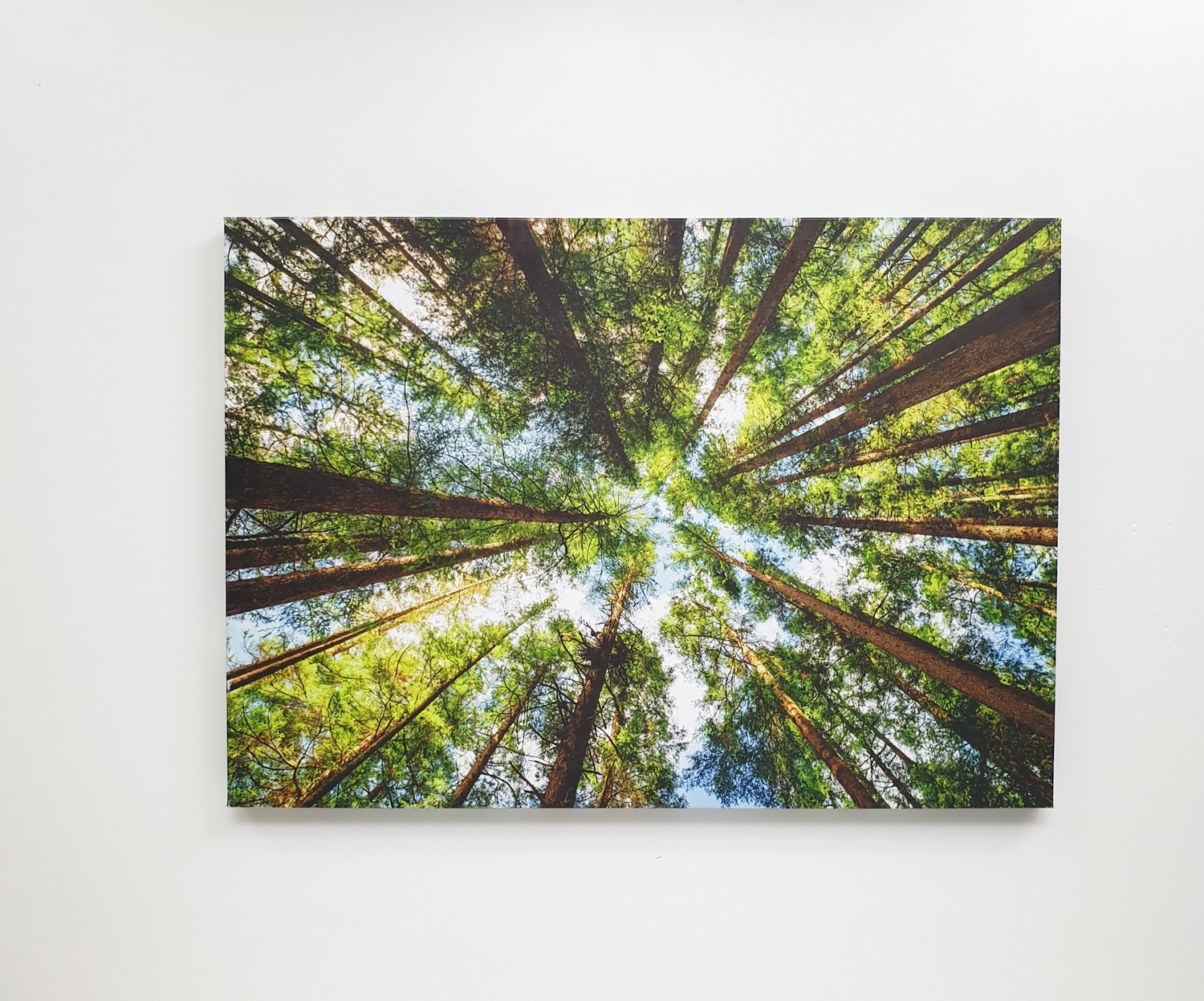 NICE รูปภาพพิมพ์ผ้าใบ View-Forest ขนาด 70x50 ซม. (ก.xส.) (ป่าไม้) C7050-14