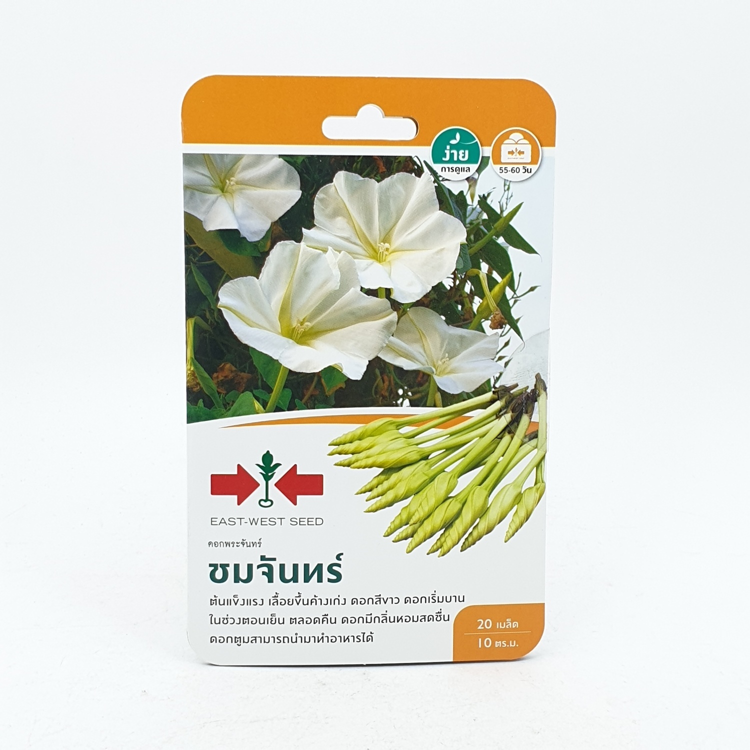ศรแดง ดอกพระจันทร์ ชมจันทร์ - สีขาว