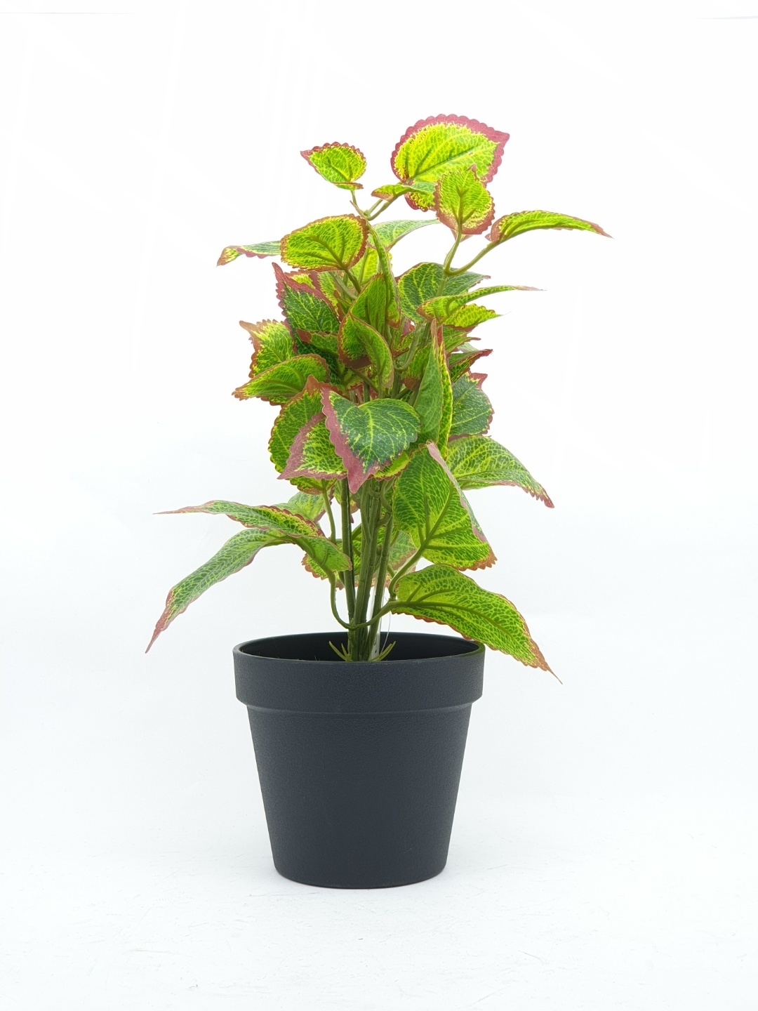 Tree O ต้นฤาษีผสมประดิษฐ์ AL16139 สูง 36CM AL16139