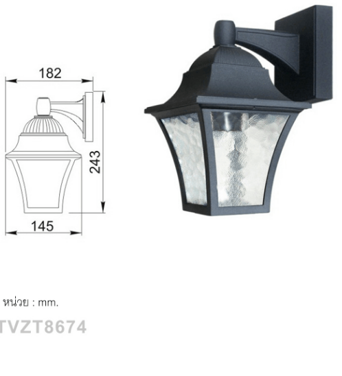 V.E.G โคมไฟผนัง TVZT8674 สีดำ