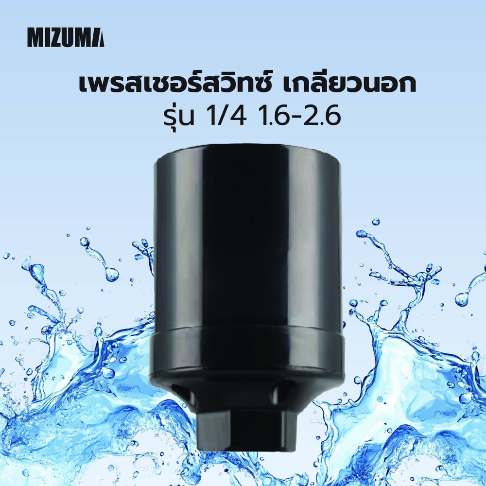 MIZUMA เพรสเชอร์สวิทซ์ เกลียวนอก 1/4 1.6-2.6