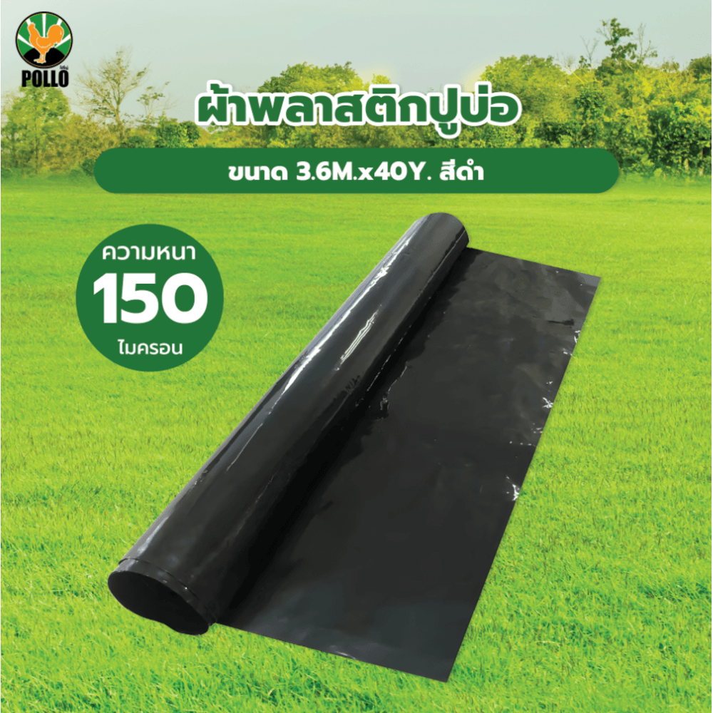 POLLO ผ้าพลาสติกปูบ่อ รุ่นLD153640B ขนาด 3.6M.x40Y. 150ไมครอน สีดำ