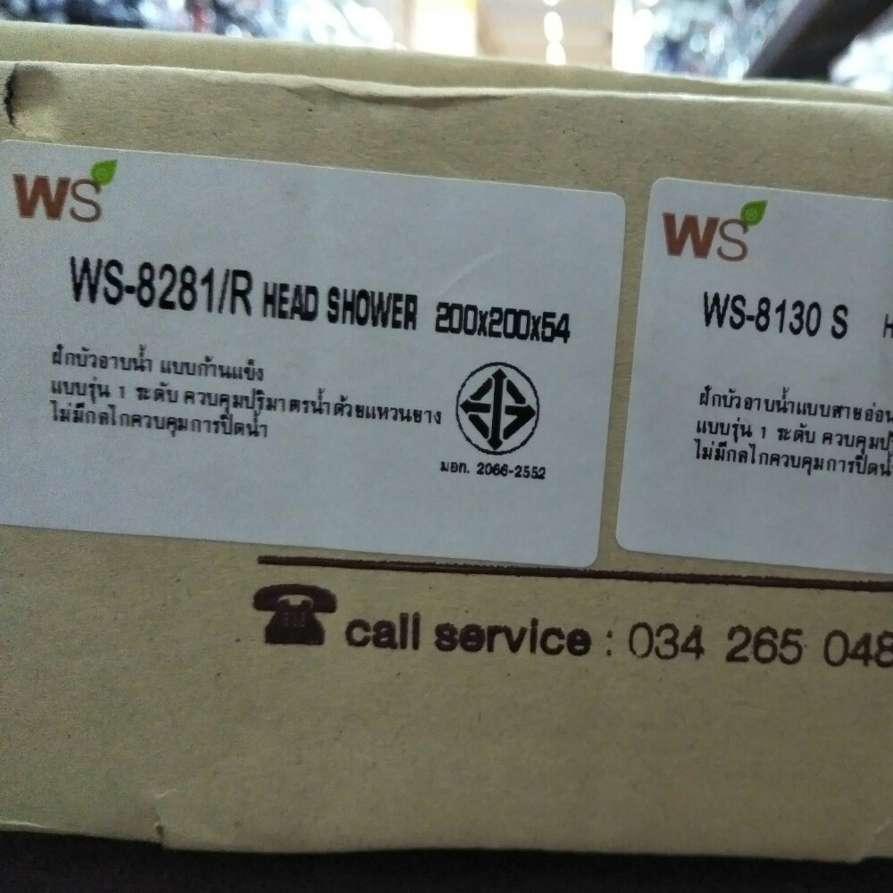 WS ชุด Rain shower สแตนเลสครบชุด รุ่น WS-8089R