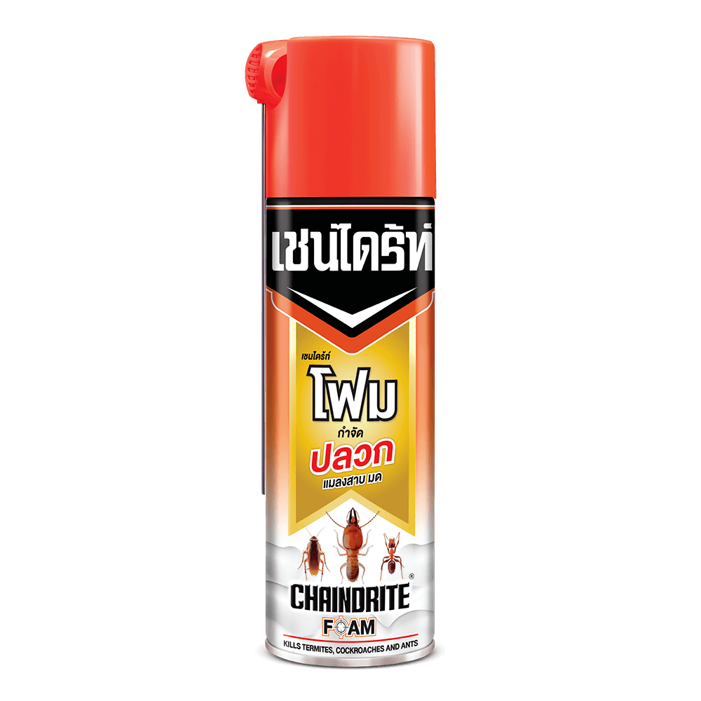 เชนไดร้ท์ โฟมกำจัดปลวก 250 กรัม สีขาว