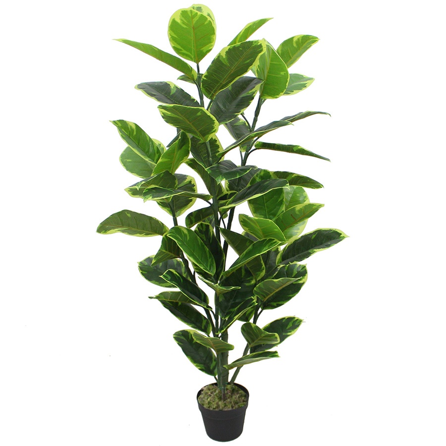 Tree O ต้นยางอินเดียด่าง ประดิษฐ์ สูง120ซม. 55ใบ พร้อมกระถาง รุ่น JWS2958 สีเขียว