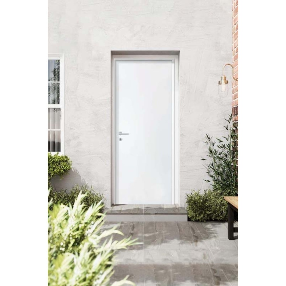 PROFESSIONAL DOOR ประตูเหล็ก D2W 90x200 ซม. สีขาว เจาะ