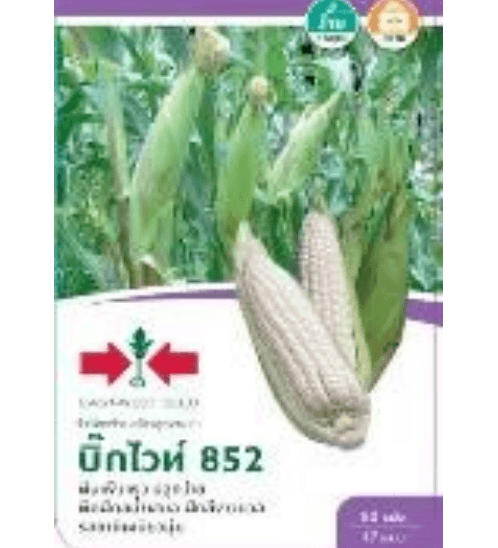 My Image 11
