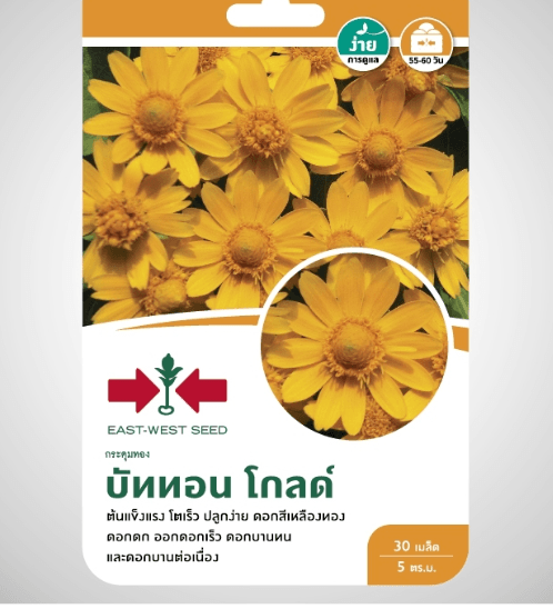 ศรแดง เมล็ดพันธุ์-กระดุมทอง บัททอน โกลด์