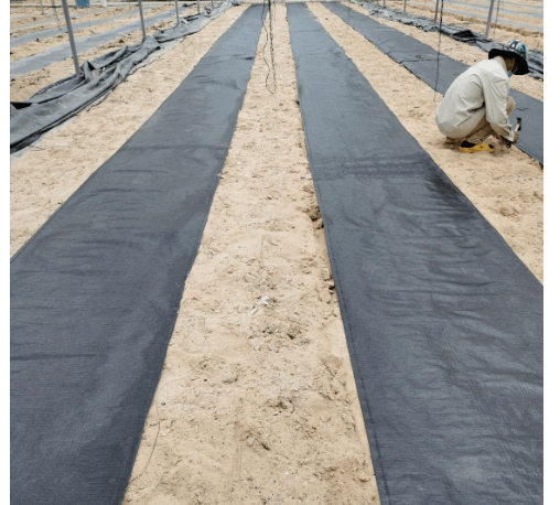 CP ผ้าพลาสติก คลุมวัชพืช 0.9x20M.