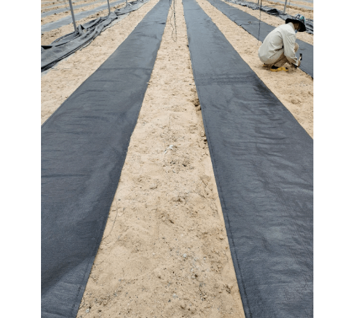 CP ผ้าพลาสติกคลุมวัชพืช 0.9x50M.