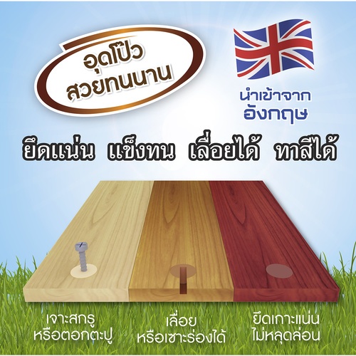 Woodtect วูดเทค วูดฟิลเลอร์ WF-002 250มล. สีไม้สัก