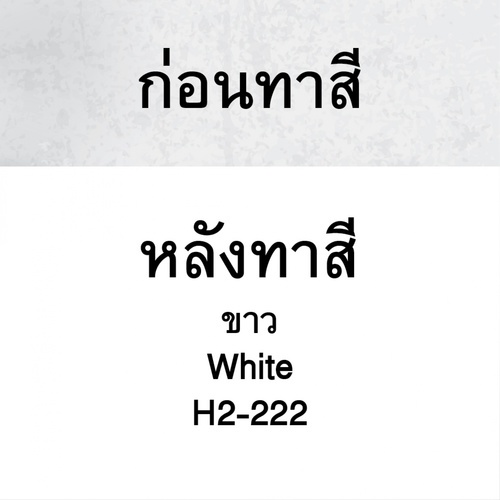 Hero ฮีโร่ รัสท์เทค 2in1 H2-222 ด้าน 5กล. สีขาว