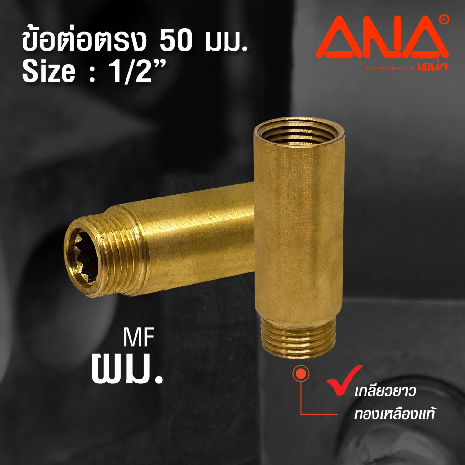 ANA ข้อต่อตรง ผม. 1/2x50 มม. (ทองเหลือง)
