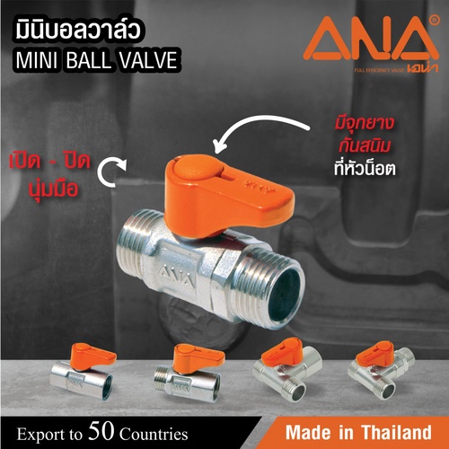 Mini-Ball ក្បាលរ៉ូប៊ីណេ 1/2(M.M)ANA-MV110