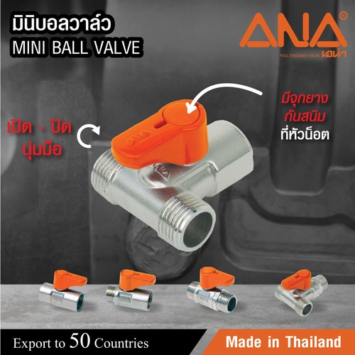 Mini Ball ក្បាលរ៉ូប៊ីណេ 3ផ្លូវ MFM.1/2