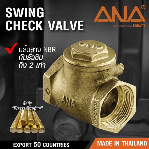 ក្បាលរ៉ូប៊ីណេ Swing Check 1/2 ANA-CHV111