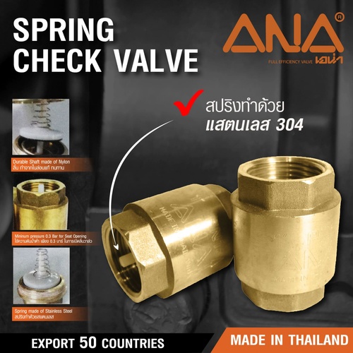 ANA เช็ควาล์วสปริงทองเหลือง 1/2