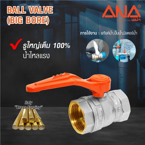 ក្បាលរ៉ូប៊ីនេ Robic ANA-BV 114 1/2