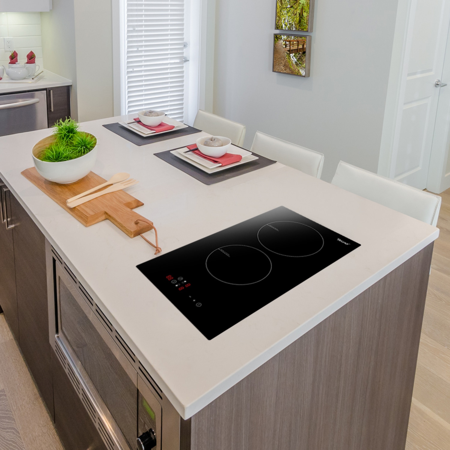 TECNOPLUSเตาแม่เหล็กไฟฟ้า 2 หัวเตา รุ่น TNP ID 2029 DG