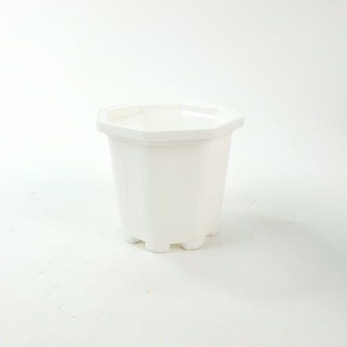 GREENHOUSE กระถาง แคคตัส 3 นิ้ว สีขาว