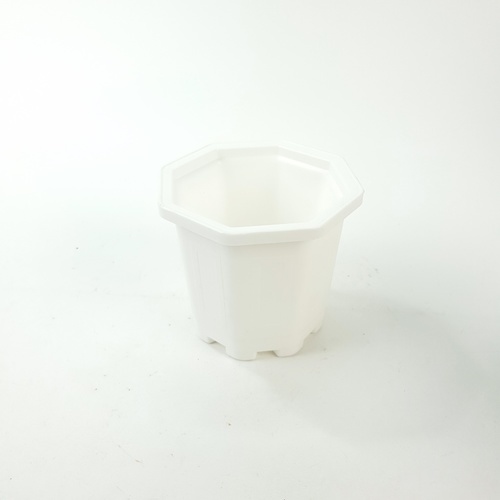 GREENHOUSE กระถาง แคคตัส 3 นิ้ว สีขาว