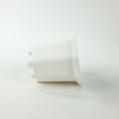 GREENHOUSE กระถาง แคคตัส 3 นิ้ว สีขาว