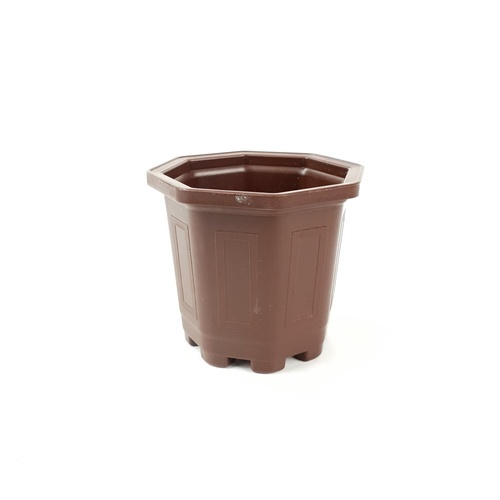 GREENHOUSE กระถาง แคคตัส 3 นิ้ว สีน้ำตาล