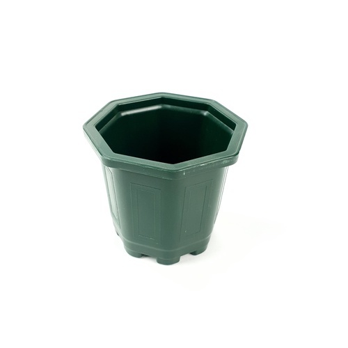 GREENHOUSE กระถาง แคคตัส 3 นิ้ว สีเขียว