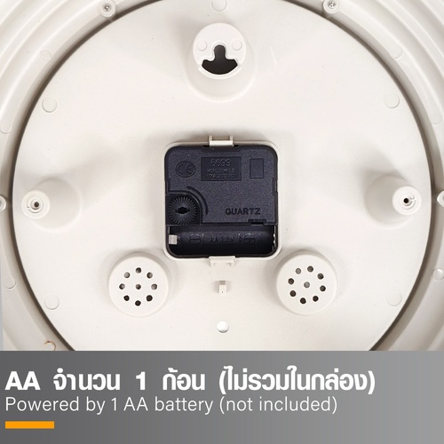 COZY นาฬิกาแขวนผนัง รุ่น VIDA-GN ขนาด 35.7x35.7x5.0 ซม. สีเขียว