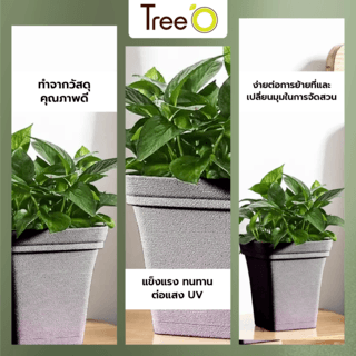 Tree  O กระถางต้นไม้ รุ่น 6PY024-GY ขนาด 25 x 25 x 24 ซม. (10นิ้ว) สีเทา