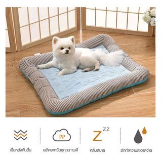 DUDUPETS เบาะนอนสัตว์เลี้ยง รุ่น CHILLY-S ขนาด 35x45x6ซม. สีฟ้า