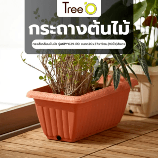 Tree‘O กระถางต้นไม้ทรงสี่เหลี่ยมผืนผ้า รุ่น6PY029-RD ขนาด20x37x15ซม.(10นิ้ว)สีแดง