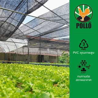 POLLO สแลน HDPE รุ่นSH-3211-55 ขนาด2x50ม. 50%(สามเข็ม) สีดำ