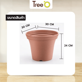 Tree  O กระถางต้นไม้ รุ่น 6PY020-RD ขนาด 30 x 30 x 24 ซม. (12นิ้ว) สีแดง