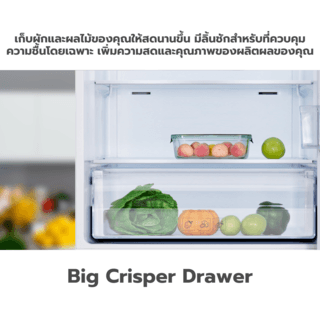 TCL ตู้เย็น 2ประตู 7.2 คิว F207TMG  สีเงิน