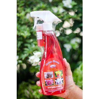 GOLDEN FLOWERS สารเร่งดอกเร่งสี Foggy 500cc.