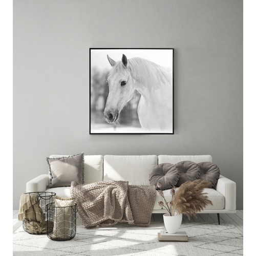 COZY ภาพพิมพ์แคนวาสพร้อมกรอบ Animai-Paint รุ่น 6460-06/MDF-1010 ขนาด 80x80CM