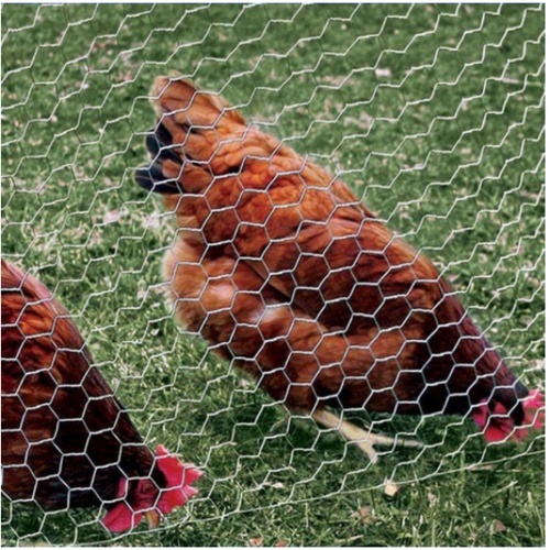 ปืนใหญ่  ตาข่ายหกเหลี่ยม SQ-34  ตาห่าง 1นิ้ว ขนาด 0.90x30เมตร