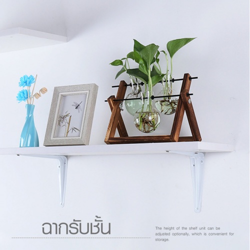 Delicato ฉากรับชั้น  ขนาด10X12.5X0.07ซม. รุ่น TJ017-WT  สีขาว