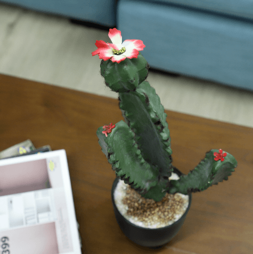 แคคตัสประดิษฐ์ XJLRD-16XRZ สูง 45CM