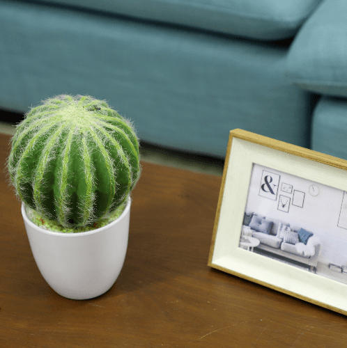 แคคตัสประดิษฐ์  XJLRD-21XRQ สูง 24CM