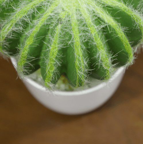 แคคตัสประดิษฐ์  XJLRD-21XRQ สูง 24CM