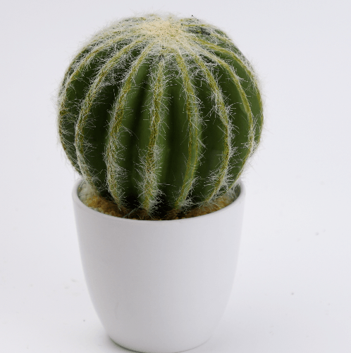 แคคตัสประดิษฐ์  XJLRD-21XRQ สูง 24CM