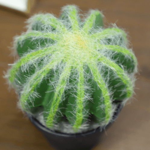 แคคตัสประดิษฐ์  XJLRD-22XRQ สูง 19CM