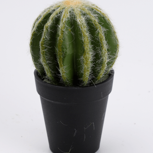 แคคตัสประดิษฐ์  XJLRD-22XRQ สูง 19CM