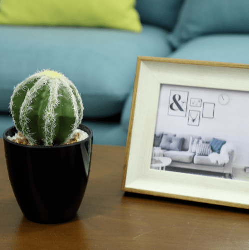 แคคตัสประดิษฐ์  XJLRD-23XRQ สูง 13CM