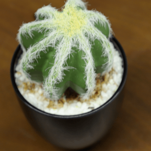 แคคตัสประดิษฐ์  XJLRD-23XRQ สูง 13CM